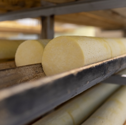 La Fromagerie Artisanale de Sauvain