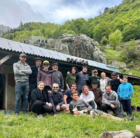 Transhumance Pyrénéene