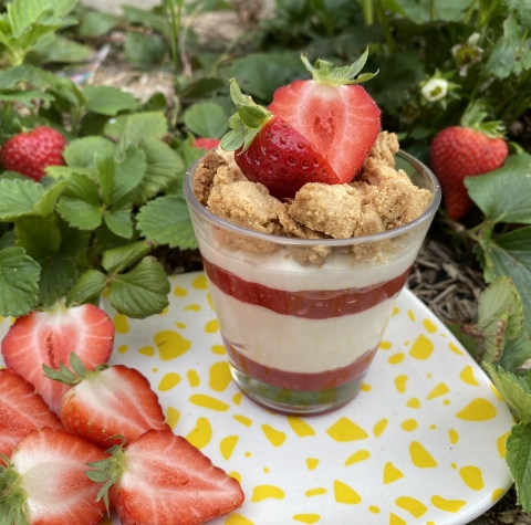 Le crémeux au Castillon et confit de fraises