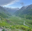 Transhumance Pyrénéene