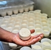 Le Castillon, fromage de brebis exceptionnel