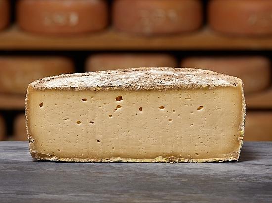 TOMME DE TARENTAISE