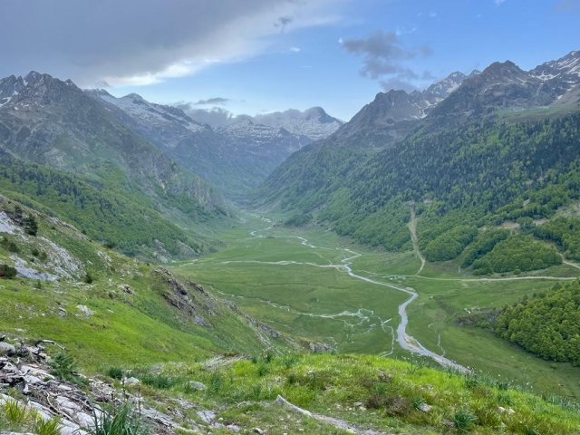 Transhumance Pyrénéene
