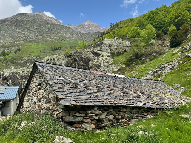 Transhumance Pyrénéene