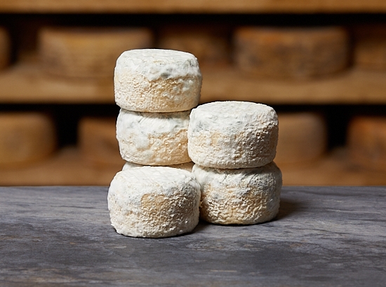CROTTIN DE CHAVIGNOL FERMIER