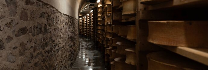 Visitez notre Tunnel d'affinage